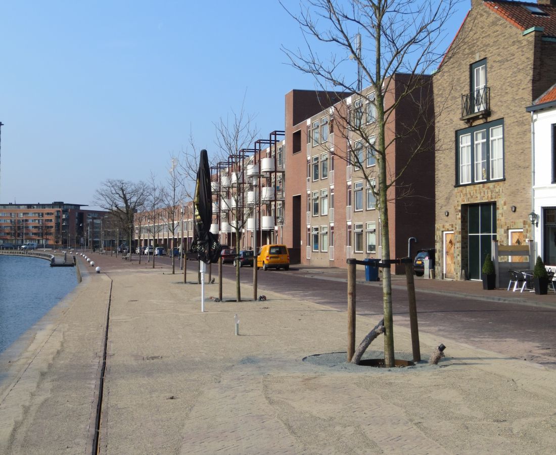 1×3 Extra bomen Kanaal Noord – Kanaalstraat
