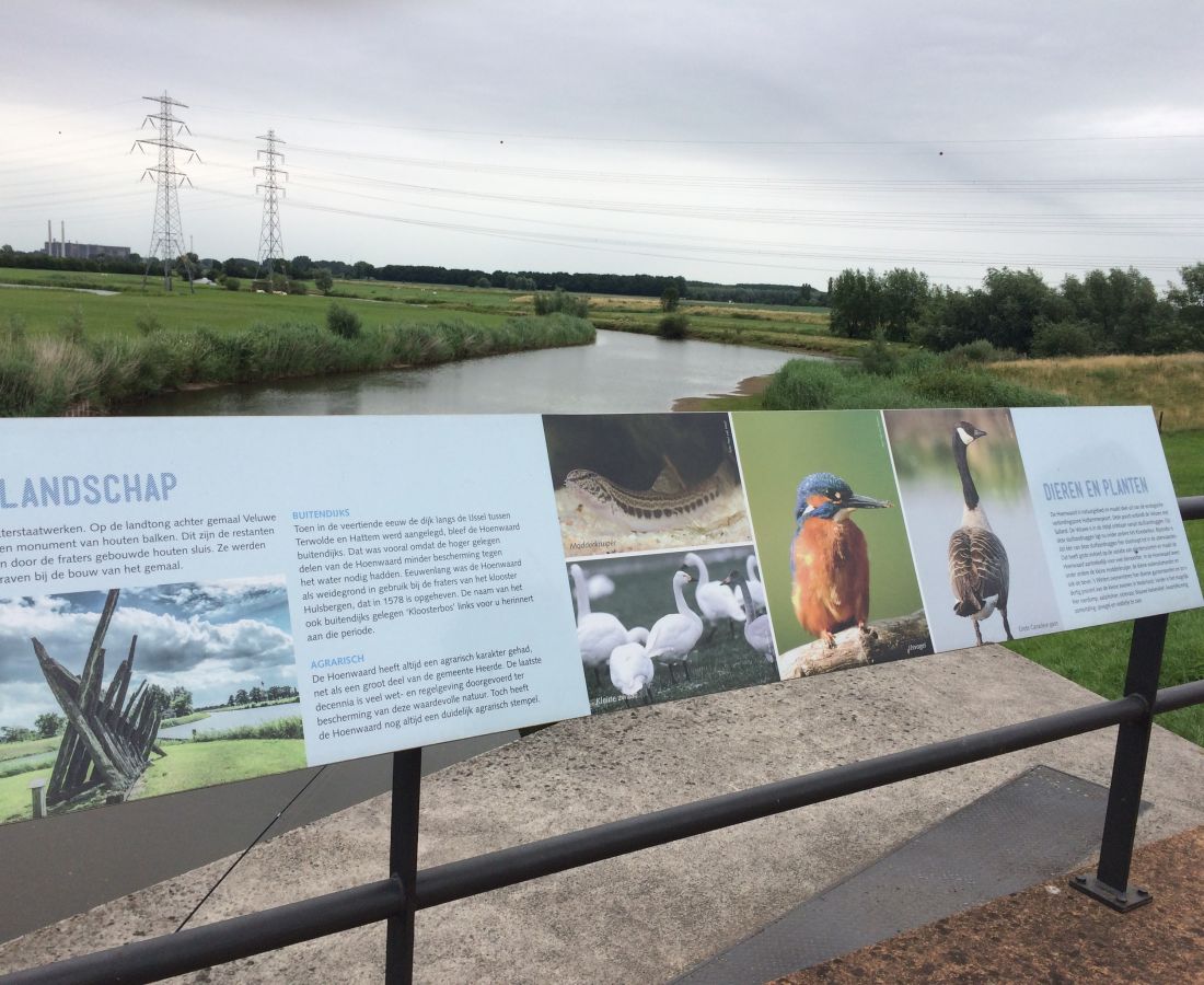 Herstel voormalige erven Hoogwatergeul Veessen-Wapenveld