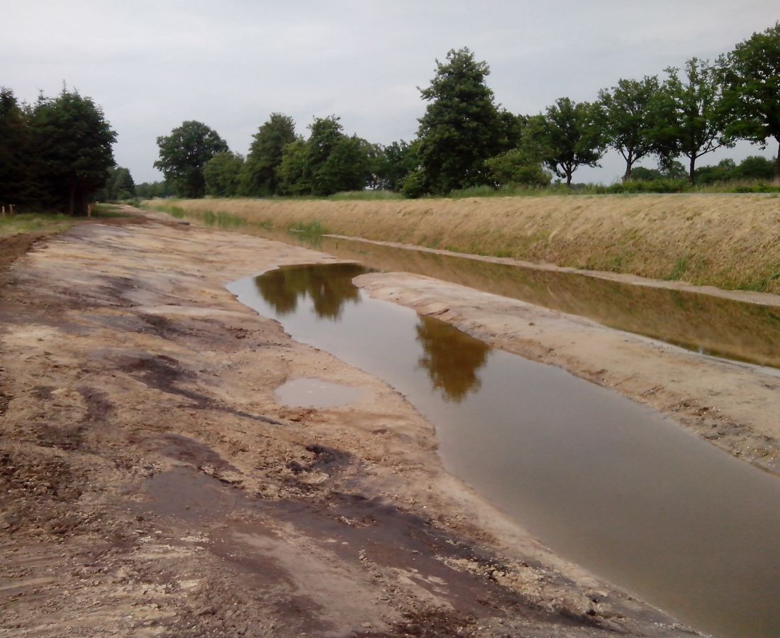 Realisatie natuurvriendelijke oevers langs de Grift